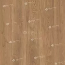 Ламинат SPC Alpine Floor Classen Pro Nature 64637 Oak Sajo
