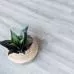 Кварцвиниловая плитка ПВХ клеевая Alpine Floor Ultra Eco ДУБ ТУМАННЫЙ ECO 5-26